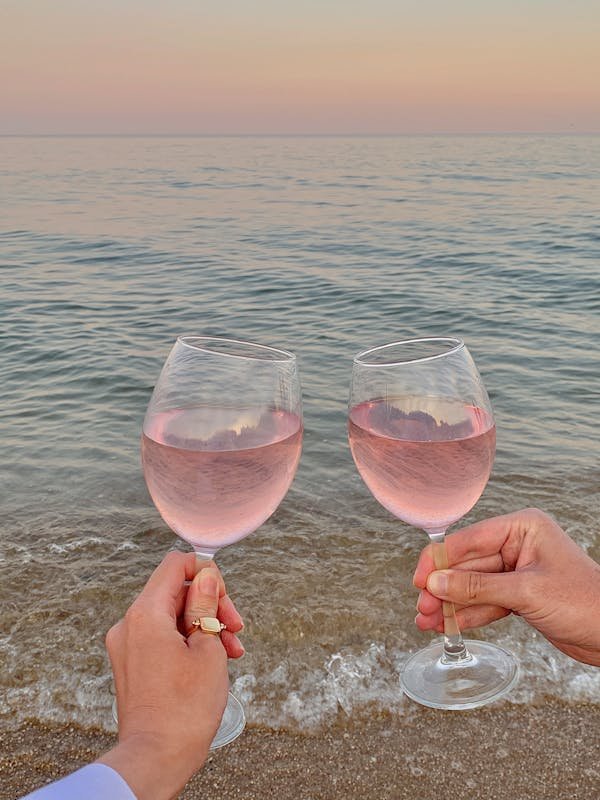Les vins rosés du château de berne : une expérience unique